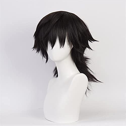 Aadesso Tomioka Giyuu Cosplay for Demon 鬼滅 Kimetsu No Men Women Heat Resistant Synthetic Hair s Halloween