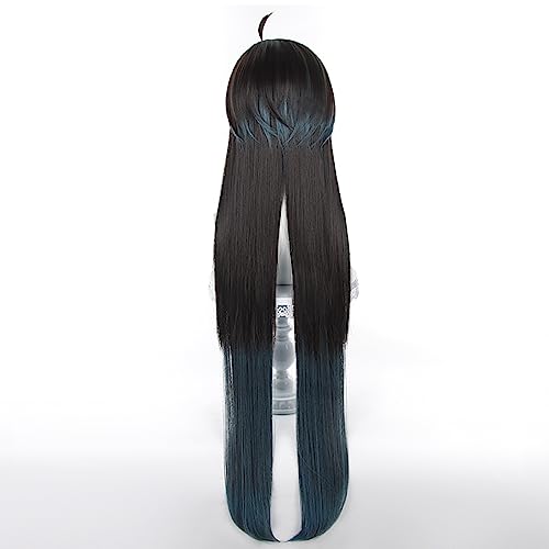 XiongXiongLe Game Honkai Star Rail Cosplay Dan Heng Long Straight Black Heat Synthetic Hair Wigs for Girls Cos Party Halloween Christmas Comic Con(DanHeng Long)