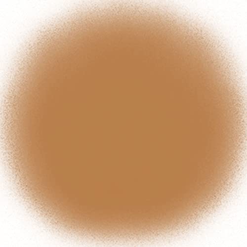 TEMPTU Air Perfect Canvas Airbrush Starter Kit, 10C Caramel