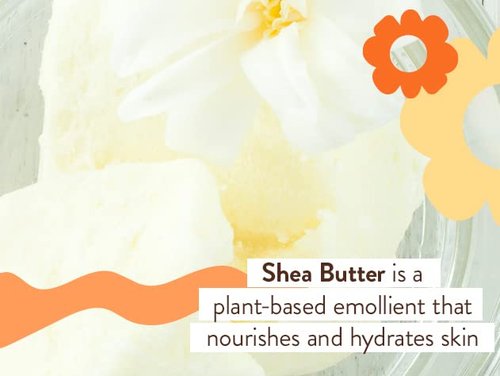 Babo Botanicals Miracle Cream | Fragrance-Free Face & Body Moisturizer for Sensitive Skin - EWG Verified