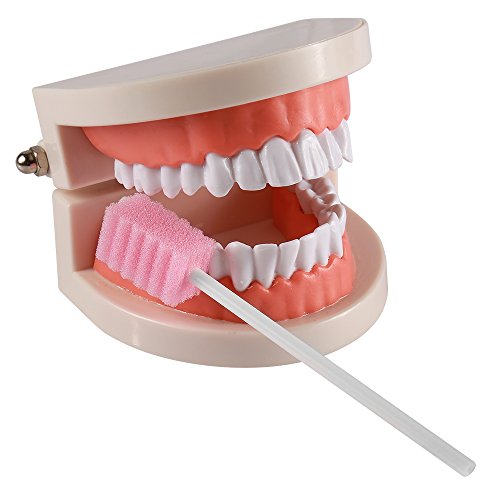 (50 Pack) Disposable Oral Swabs, Sterile Dental Sponge Swabsticks Unflavored for Mouth & Gum Cleaning