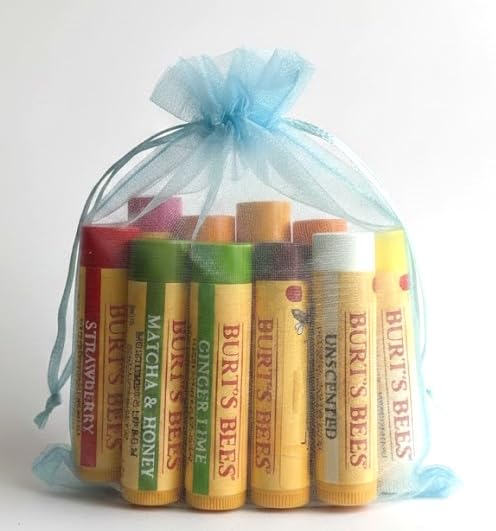 Burt's Bees Lip Balm Variety Gift Pack - 10 Assorted Flavors for Perfect Stocking Stuffers