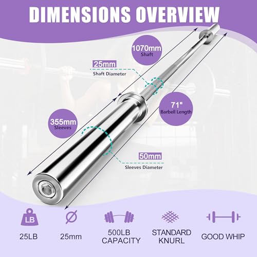 Olympic Barbell Curl Bar EZ Bar 4/5/6/7 FT Barbell Bar 300/400/500/600 Weight Capacity Strength Training Bar for Home Gym