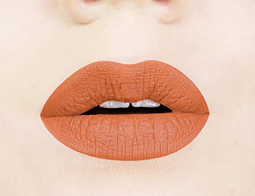 Aromi Matte Liquid Lipstick | Long-Lasting, Waterproof, Smear, Smudge + Transfer Proof, Nutmeg Orange Lip Color, Paraben, Phthalate, + Gluten Free (Burnt Pumpkin)