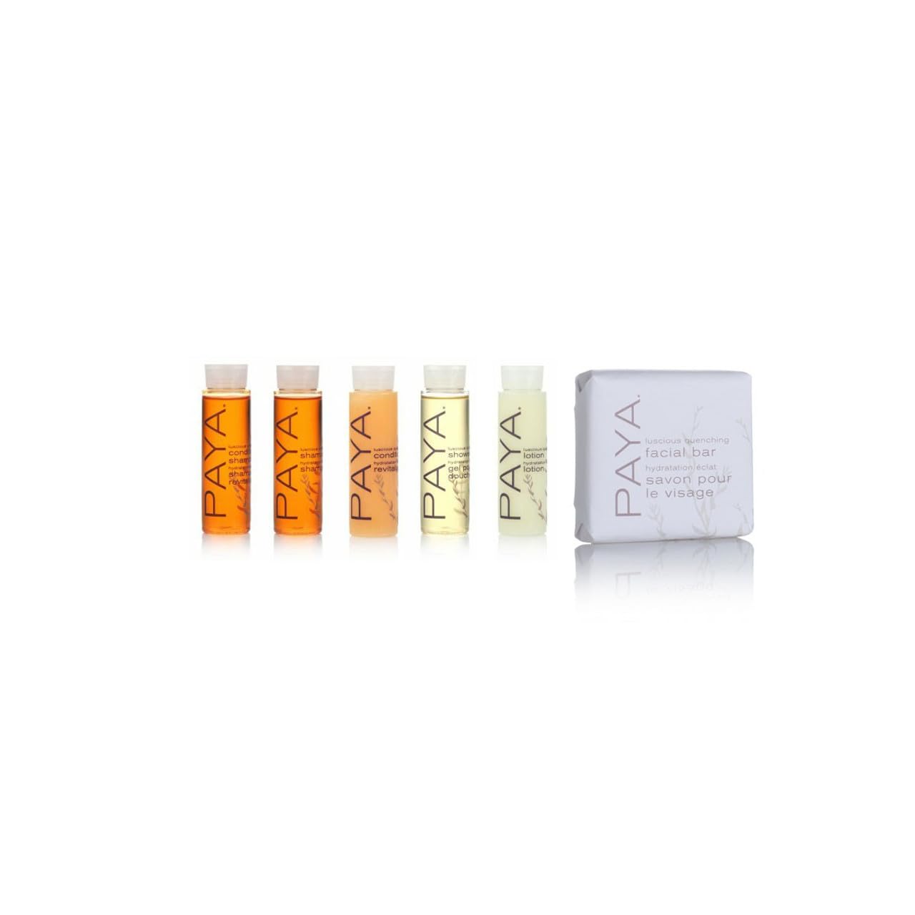 Skiennix Toiletry Travel Set - Shampoo, Conditioner, Shower Gel & Facial Soap with Tote Bag