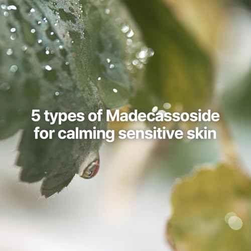 [PKY] Pyunkang Yul Calming Skincare Gift Set with Premium Gift Wrapping, Vegan, Korean Skincare (3-item set) Stocking Stuffer Christmas Holiday New Year gift set