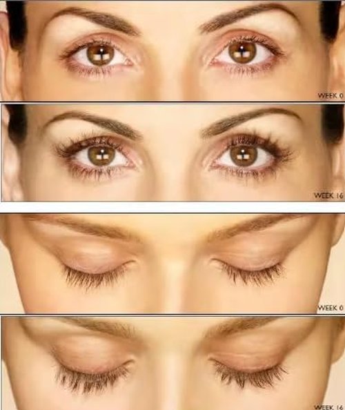 Royal Lush Eyelash Growth Serum - Clinically Proven Formula for Longer, Thicker Lashes | 5 Month Supply
