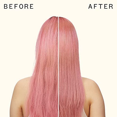 amika normcore signature shampoo