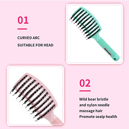 EKONAER 3 Pack Vented Quick Drying Massage Blow Detangler Brush,Boar Bristle Hair Brush Set-Curved,Detangling Hair Brush for Women Long,Thick, Thin, Curly(Green)