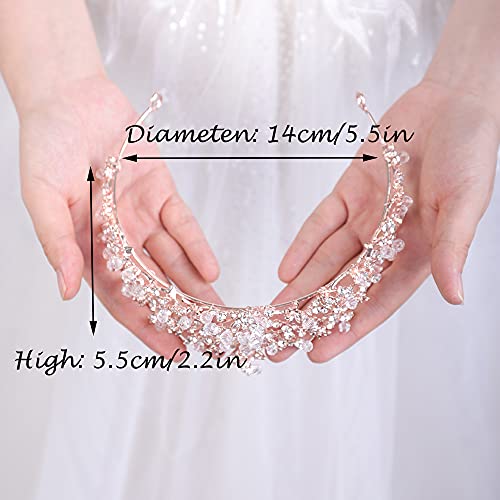 Wekicici Wedding Tiara Floral Rhinestone Crystal Princess Crown Bridal Pageant Tiara Elegant Headband Hair Accessories for Bride Party Bridesmaids Birthday Prom Halloween Costume Cosplay Gifts(Silver)