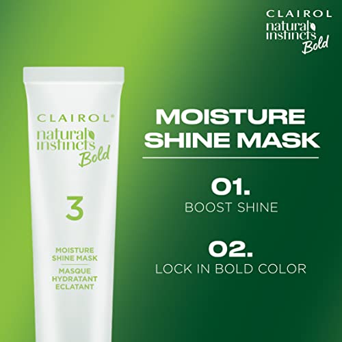 Clairol Natural Instincts Bold Permanent Hair Dye, R56 Achiote Auburn Hair Color, Pack of 1