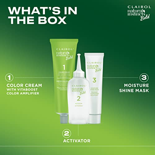 Clairol Natural Instincts Bold Permanent Hair Dye, R56 Achiote Auburn Hair Color, Pack of 1