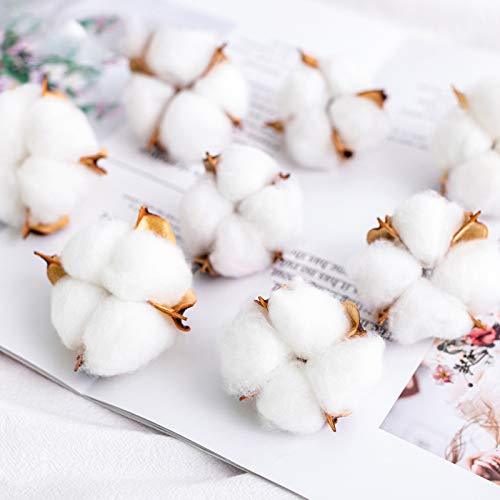 Tegg Cotton Boll 20PCS Natural White Cotton Balls Dried Cotton Pods for Crafting Farmhouse Style