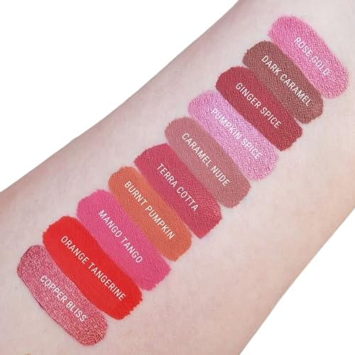 Aromi Matte Liquid Lipstick | Long-Lasting, Waterproof, Smear, Smudge + Transfer Proof, Nutmeg Orange Lip Color, Paraben, Phthalate, + Gluten Free (Burnt Pumpkin)