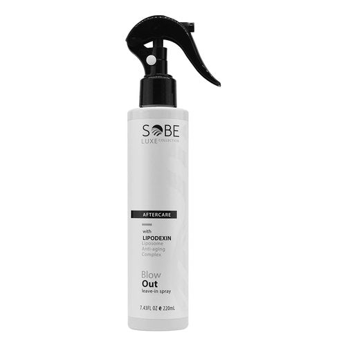 Heat Protectant Spray by [Brand Name] - 8 Fl Oz for Thermal Styling, Frizz-Free Shine & Smooth Finish