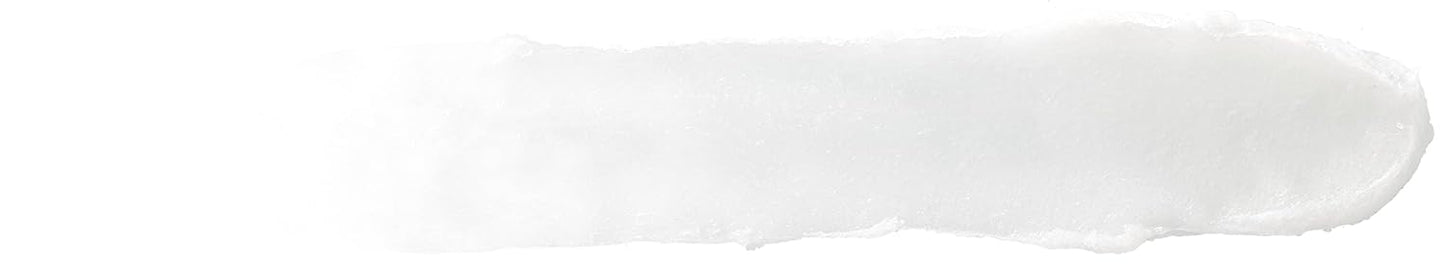 Burt's Bees Medicated Lip Balm - Eucalyptus Oil & Menthol - Natural Tint-Free Care | 4 Tubes, 0.15 oz