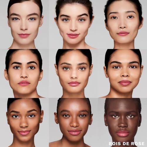 Estée Lauder Pure Color Long Lasting Cream Lipstick with Cream Finish | Plumping & Nourishing, 428 Determined