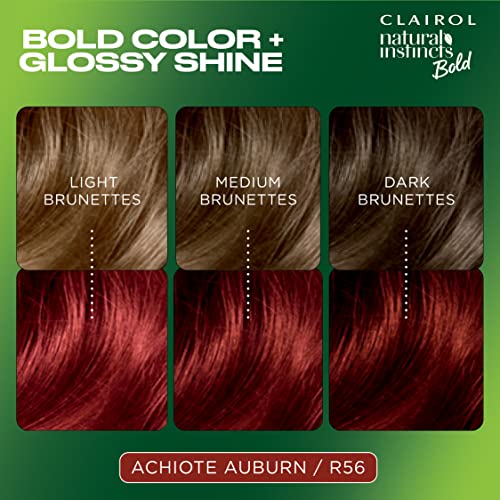 Clairol Natural Instincts Bold Permanent Hair Dye, R56 Achiote Auburn Hair Color, Pack of 1