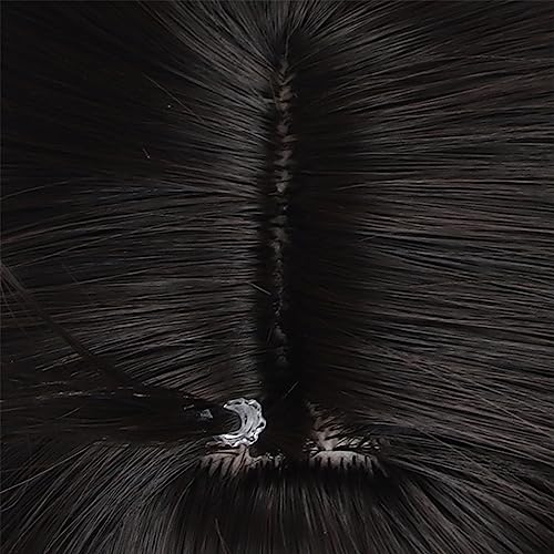 XiongXiongLe Game Honkai Star Rail Cosplay Dan Heng Long Straight Black Heat Synthetic Hair Wigs for Girls Cos Party Halloween Christmas Comic Con(DanHeng Long)