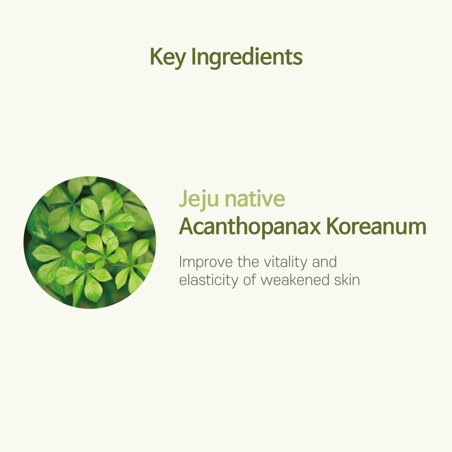 ACCOJE Reviving Gel Cream - Hydrating Moisturizer for Sensitive Skin | Soothes Redness with Jeju Extracts, 1.69 fl oz