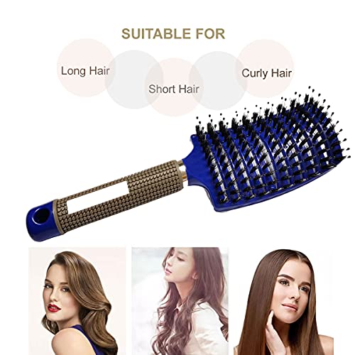 Boar Bristle Hair Brush 2 Pack, Detangling Brush, Vented Curved Hair Brush for Thick Curly Fine Wet Dry Long Hair, MYMOOSH Fast Dry No Tangle Hair Brush, Boar Bristle Brush for Women Men Kids (blue)