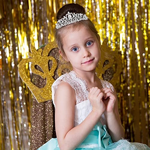 COCIDE Birthday Queen Sash & Rhinestone Tiara Set Silver Birthday Sash and Tiara for Women Birthday Decoration Kit Rhinestone Headband for Girl Glitter Crystal Hair Accessories for Party Cake Topper