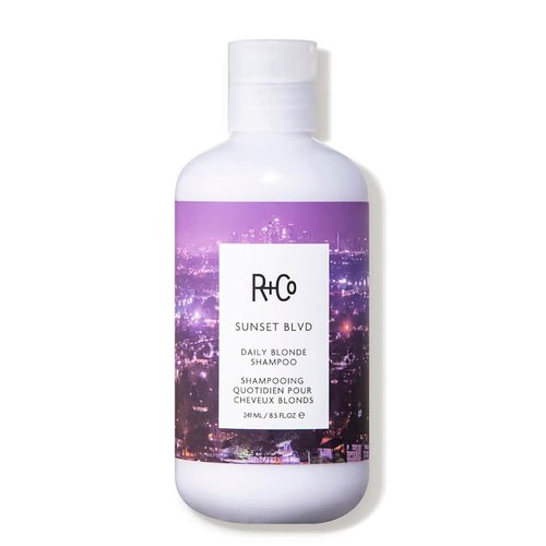 R+Co Sunset Blvd Daily Blonde Shampoo - Brightening & Brassiness Control | Hydrating Formula | 8.5 Fl Oz