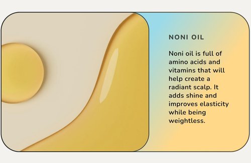 Cloud Weightless Leave-In Detangler - Nourishing Formula for Smooth, Tangle-Free Hair | 8 oz