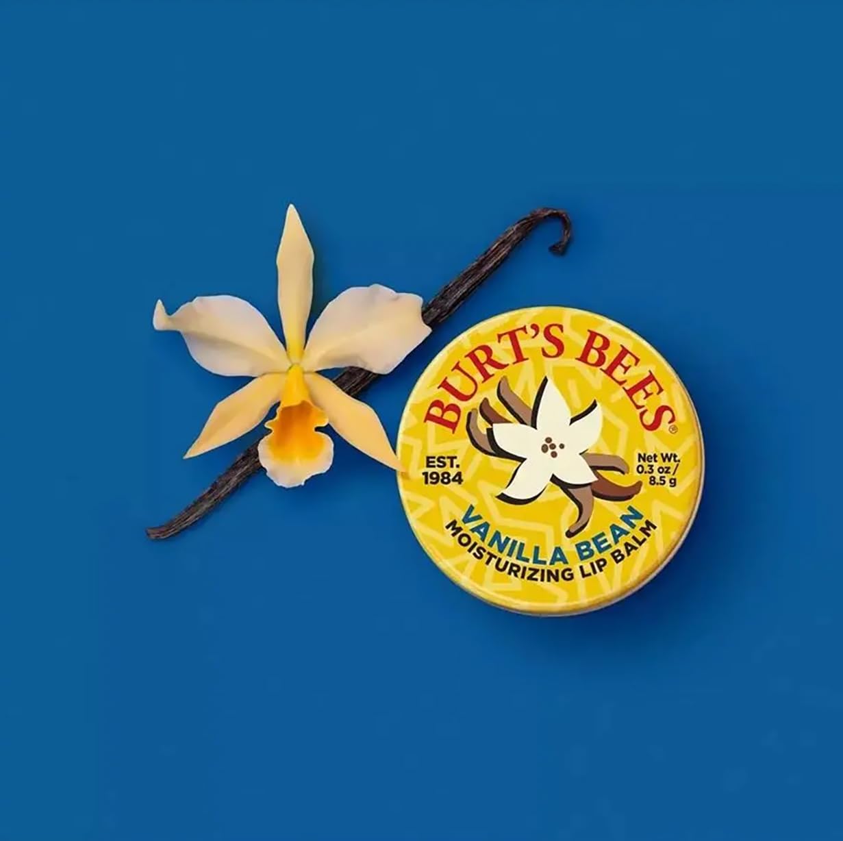 Burt's Bees Vanilla Bean Lip Balm - Nourishing Moisture in 0.3 oz Tin