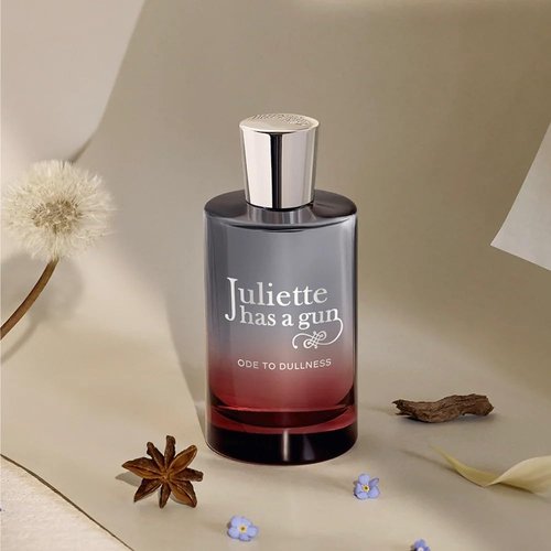 Juliette Has A Gun Ode To Dullness - Unique Fragrance for Women | 3.3 oz Eau De Parfum