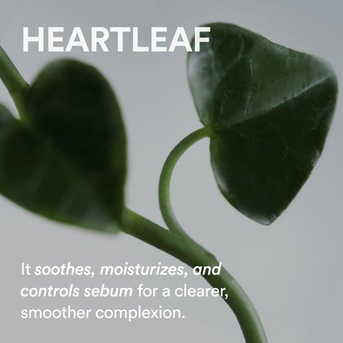 Abib Heartleaf Cream - Calming Facial Cream for Sensitive Skin | 2.53 fl oz