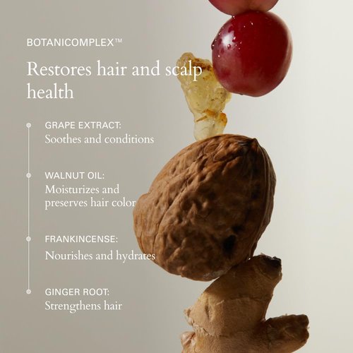 RŌZ Foundation Conditioner - Nourishing Formula for All Hair Types | Hydrating Ceramides & Pea Peptides | 10.1 oz / 300 mL