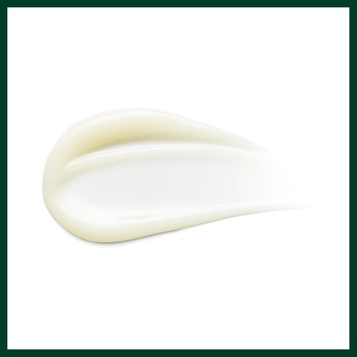 Aveda Damage Remedy Daily Hair Repair - Leave-In Treatment for Damaged Hair | Detangles & Repairs Split Ends | 3.4 Fl Oz