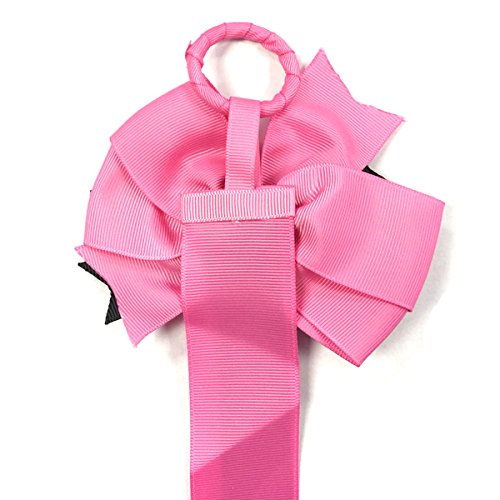 Wrapables Hair Clip and Hair Bow Holder, Hot Pink Leopard