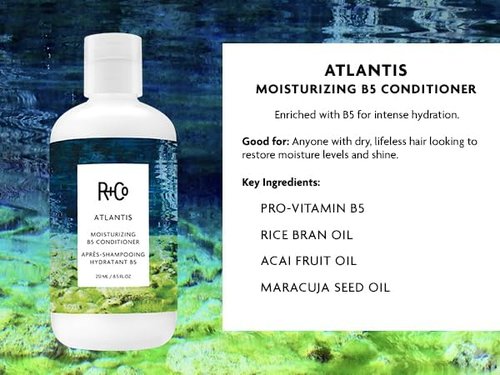 R+Co Atlantis Moisturizing B5 Shampoo and Conditioner Set – Deep Hydration & Repair for Dry, Damaged, Tired Hair – Restores Moisture, Softness & Shine – Vegan & Sulfate-Free – 8.5oz (Pack of 2)