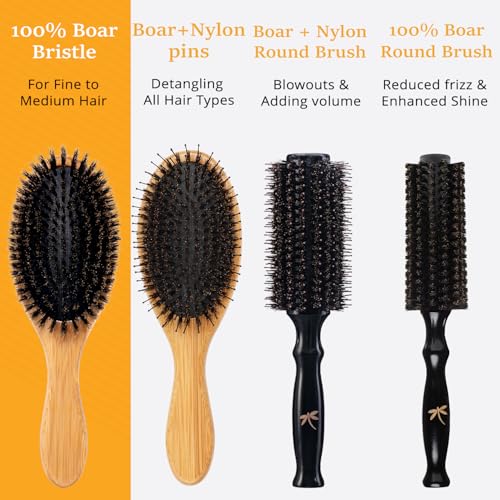 Belula 100% Boar Bristle Hair Brush Set (Medium). Soft Natural Bristles for Thin and Fine Hair. Restore Shine And Texture. Wooden Comb, Travel Bag and Spa Headband Included!
