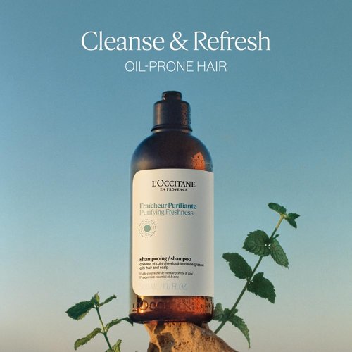 L'OCCITANE Purifying Freshness Shampoo.: Helps Reduce Excess Sebum, For Normal to Oily Hair, Without Silicone, Refill Available