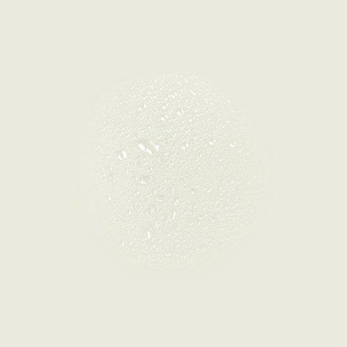 Aesop Immediate Moisture Facial Hydrosol - Hydrating Face Mist with Rose Petal & Bergamot | 50 mL/1.7 oz