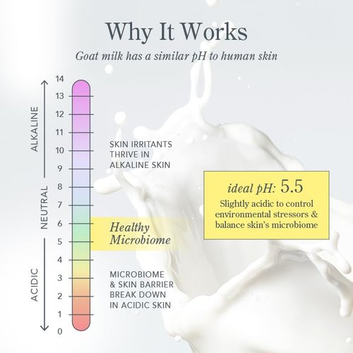 Beekman 1802 Goat Milk Body Soap Bar - Almond Honey Cookie - Nourishing & Hydrating - 9 oz