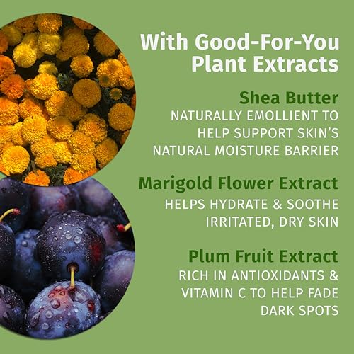 Hempz Limited Edition Vanilla Plum Hydrating Body & Hand Lotion 17 oz