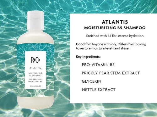 R+Co Atlantis Moisturizing B5 Shampoo & Conditioner Set - Deep Hydration & Repair for Dry Hair - Vegan & Sulfate-Free - 8.5oz 2PK