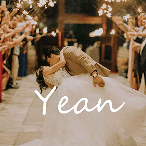 Yean Bride Wedding Hair Comb Leaf Hair Piece Bridal Hair Accessories for Women and Girls (Gold)