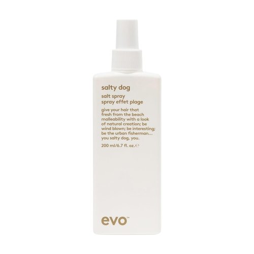 EVO Salty Dog Salt Spray - Beachy Texture & Volume - Natural Matte Finish for Effortless Style