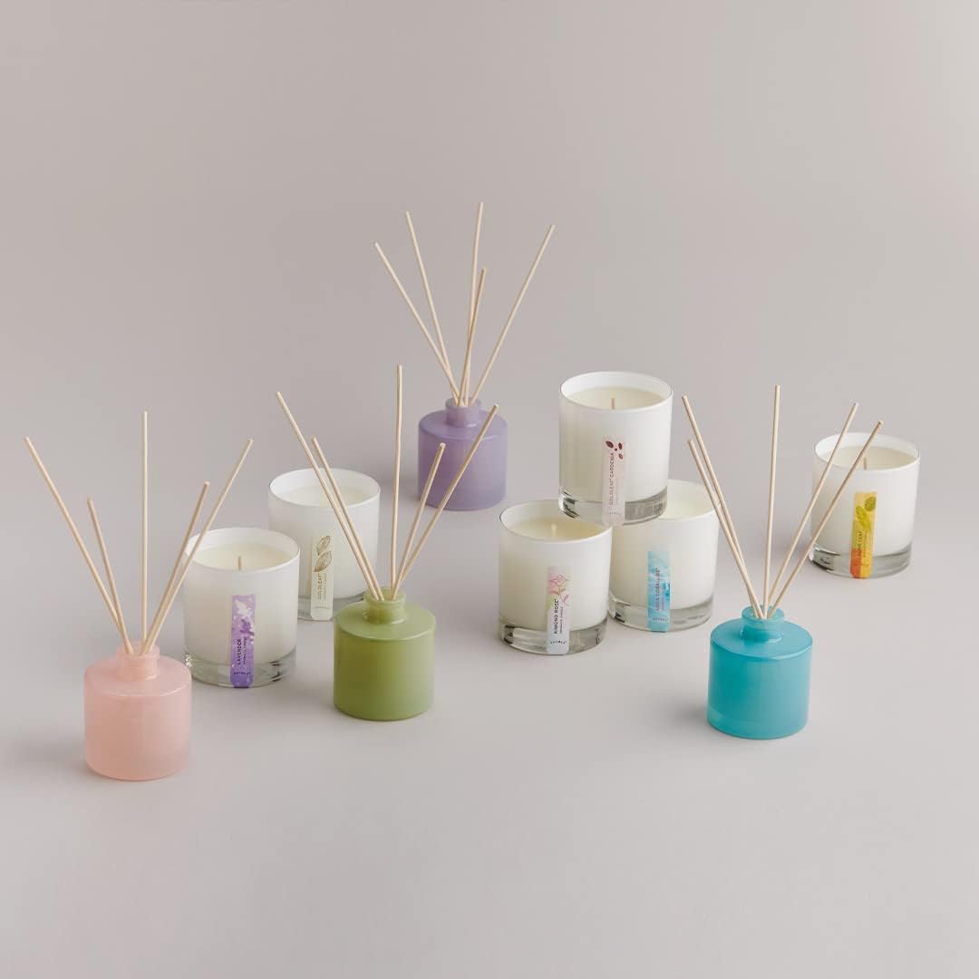 Thymes Eucalyptus Petite Diffuser - 4 Fl Oz | Refreshing Aromatherapy Experience