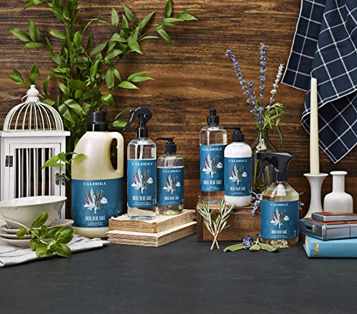 Caldrea Hand Wash Soap, Aloe Vera Gel, Olive Oil and Essential Oils to Cleanse and Condition, Basil Blue Sage, 10.8 oz, 2 Pack