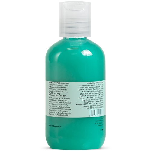 Anthony Mens Body Wash and Shampoo: Invigorating Rush 2-In-1 Liquid Gel Soap & Hair Shampoo – Alpine Wood Scent Contains Eucalyptus Extract, Canadian Balsam & Birch Leaf
