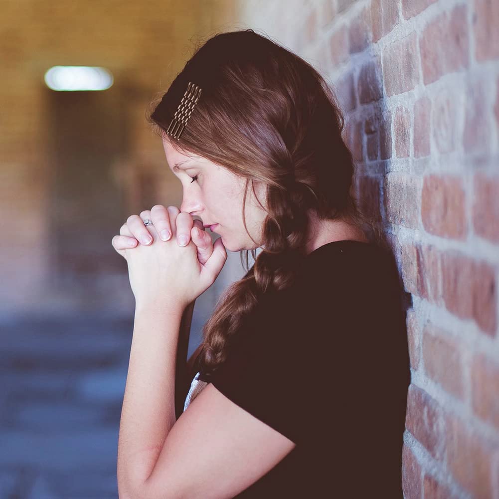 YINGFENG 220pcs 2.76 Inch Large Brown Bobby Pins for Women, Jumbo Long Pins with Box, Reusable Non Slip Big Pins Great For Thick Hair