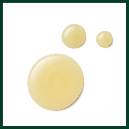 Aveda Damage Remedy Shampoo & Conditioner Duo - Strengthens Damaged Hair | Quinoa Protein Formula
