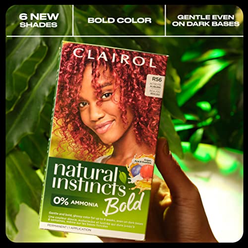 Clairol Natural Instincts Bold Permanent Hair Dye, R56 Achiote Auburn Hair Color, Pack of 1