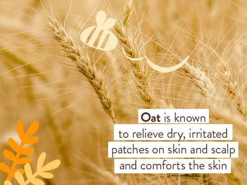Babo Botanicals Miracle Face Cream - Moisturizing Oat & Calendula for Dry/Sensitive Skin | Shea Butter Hydration